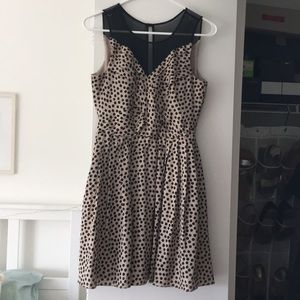 BCBGeneration size 2 black tan polka dot dress